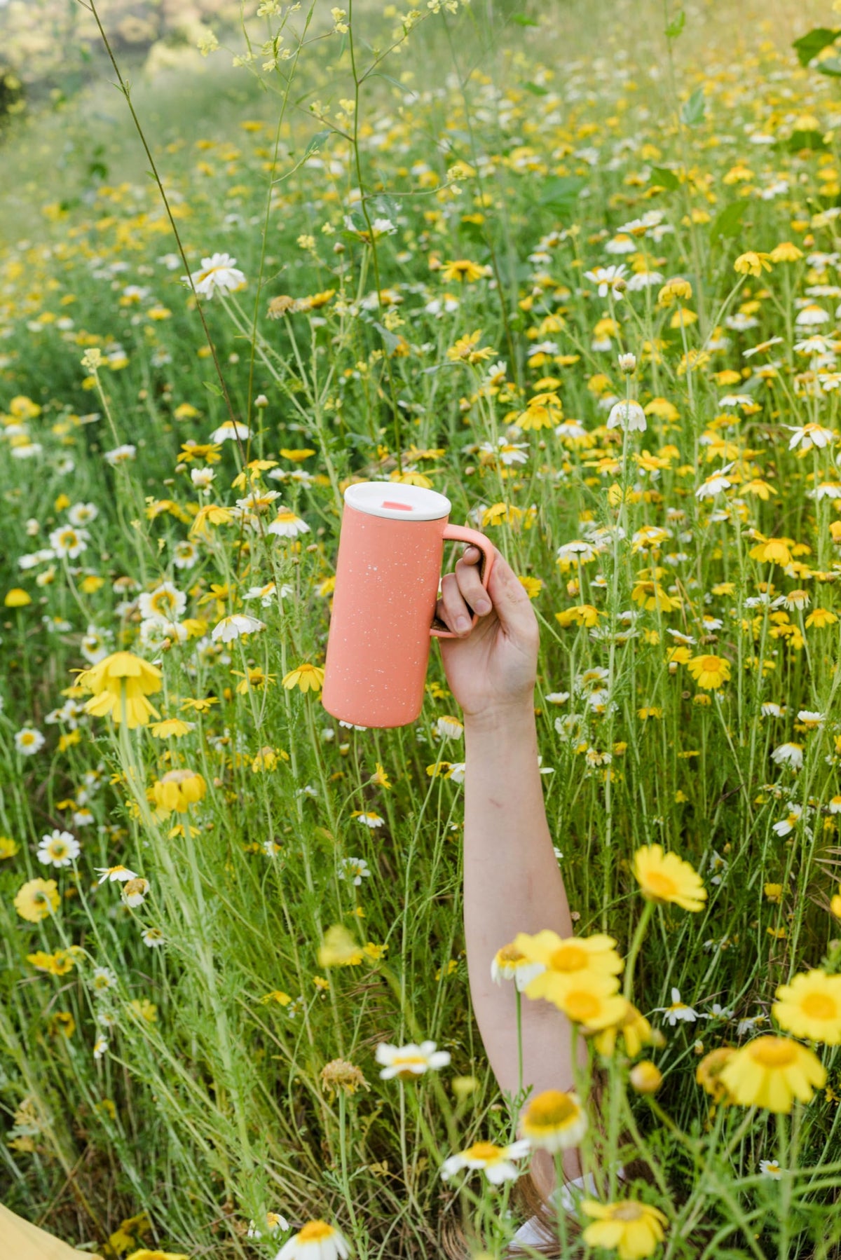 Ello Campy BPA and BPS free materials for safe daily use.