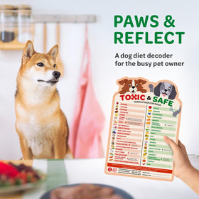 Emmy's Best EBPP kitchen safety guide magnet adds pet care prompts.