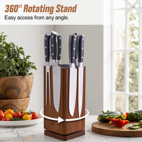 ENOKING removable plastic bristle insert allows easy cleaning and blade adaptation.