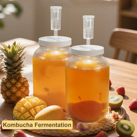 Essmilkee fermentation lid with grommet for airtight control