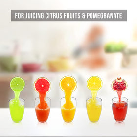 Eurolux cast iron juicer on countertop showing rugged durability.