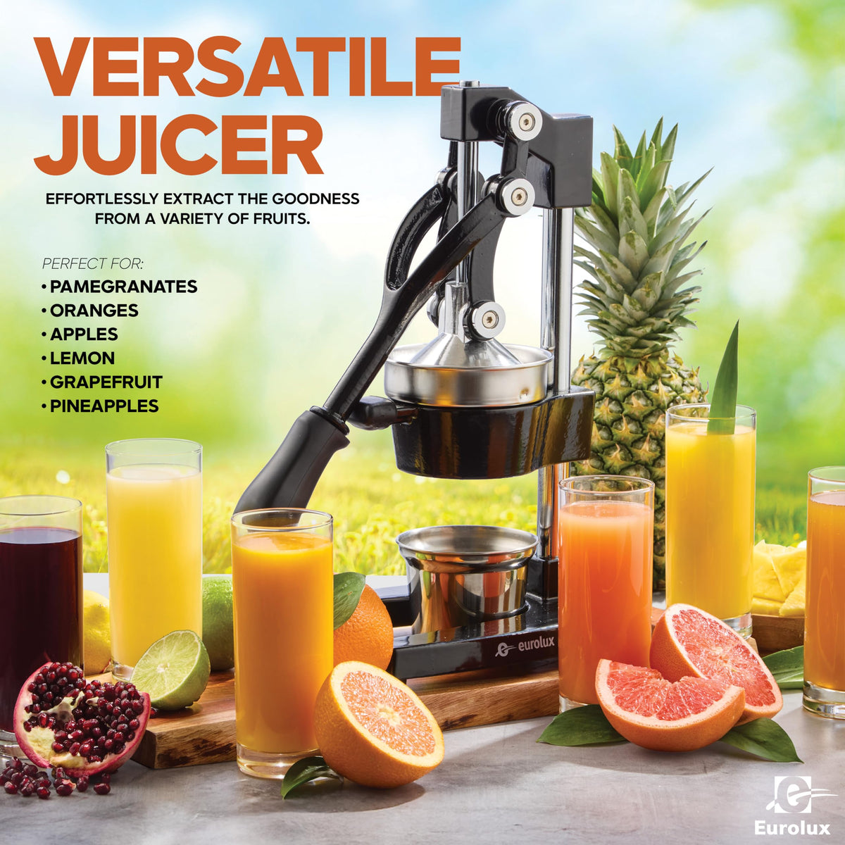 Eurolux juicer with black finish ready for daily use.