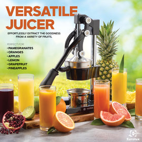 Eurolux juicer with black finish ready for daily use.