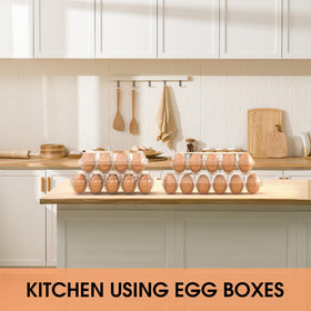 EVANCENT sturdy construction protects eggs during shipping.