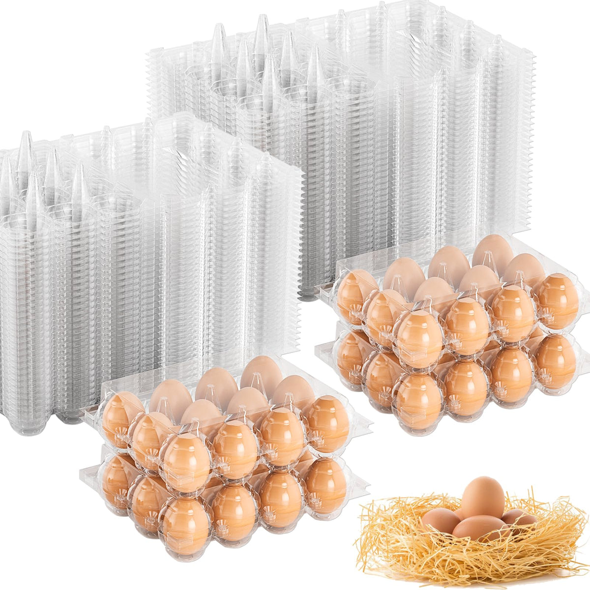 EVANCENT egg carton 3x4 grid for easy market inspection and display.