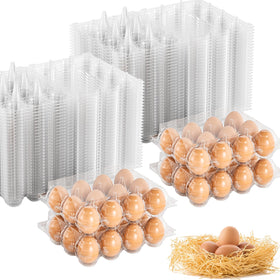 EVANCENT egg carton 3x4 grid for easy market inspection and display.