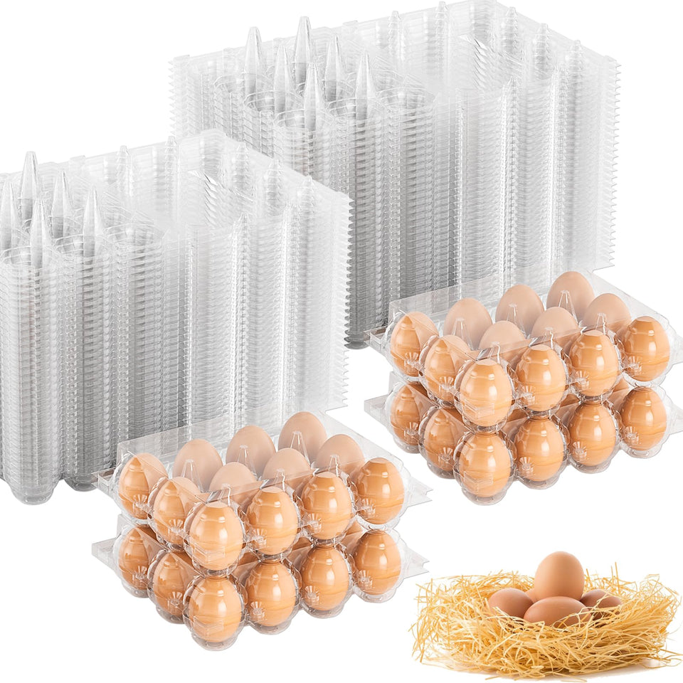 EVANCENT egg carton 3x4 grid for easy market inspection and display.