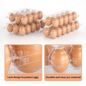 EVANCENT carton display offers clear visibility for farm-fresh eggs.