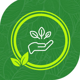 EverFresh commercial-grade quality supports reliable sealing for busy households and small businesses.