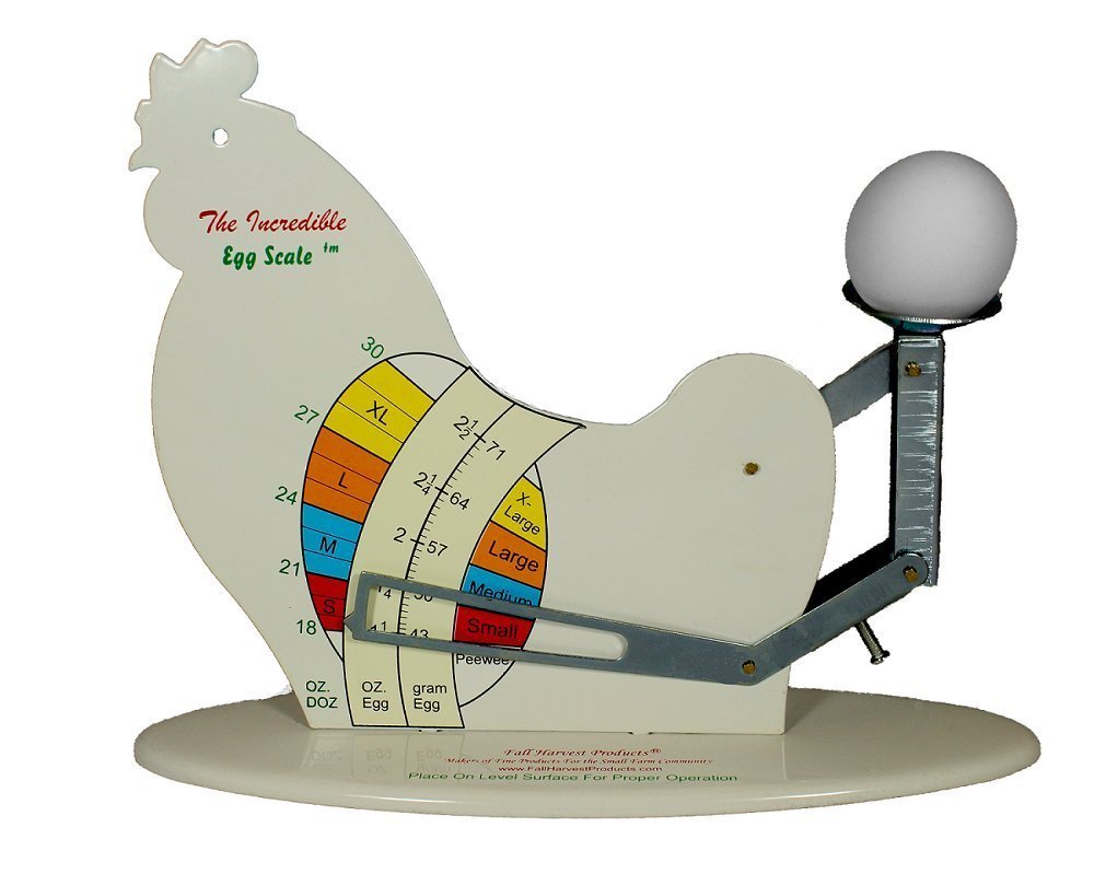 Fall Harvest Products The Incredible Egg Scale shows precise small-portion measurements for eggs