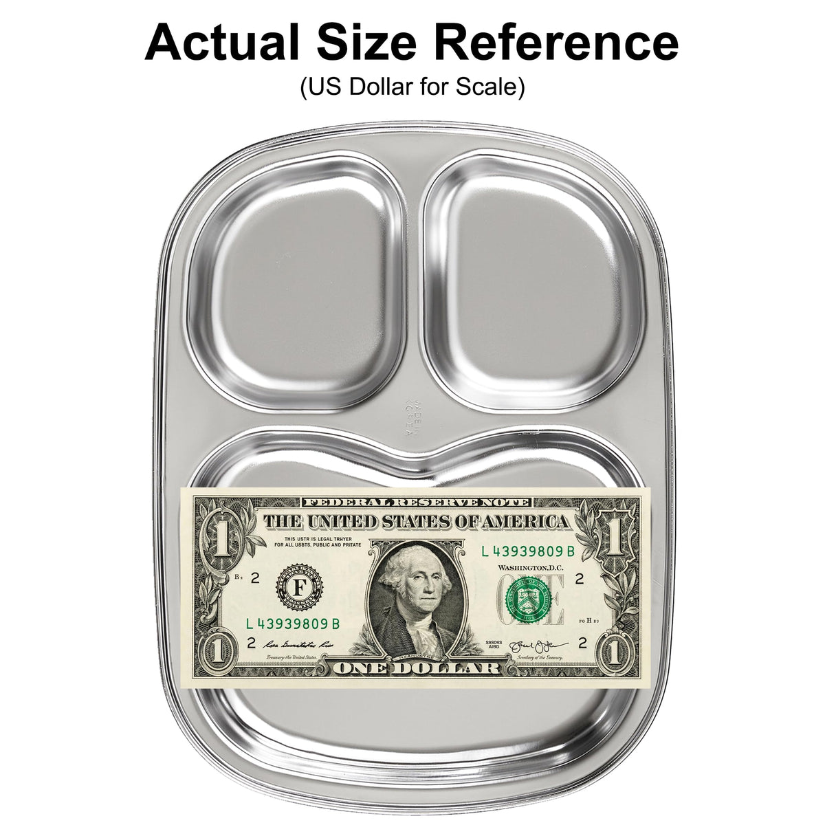 Fam 3 Compartment Tray non-porous surface resists odors and stains.