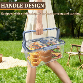 Fanlory bread box showing lid and handle for easy transport.