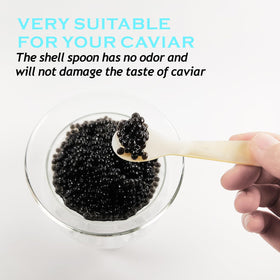 FANQIEW ice holder chiller keeps caviar cool and fresh during serving