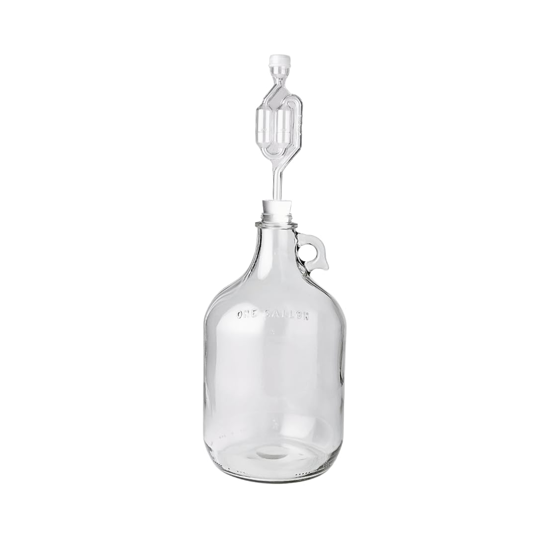 FastRack 1 gallon glass jug with twin airlocks for fermentation monitoring
