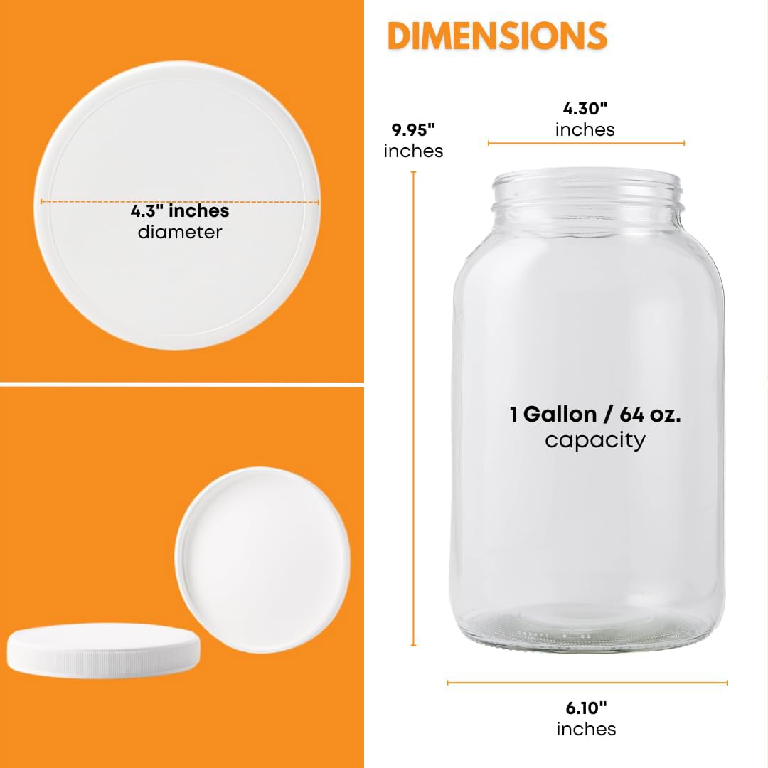 FastRack jar used for fermenting vegetables with clear view of progress