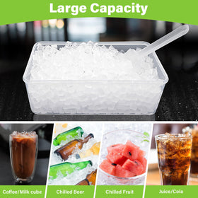 FDDBI freezer organization setup with tray and bin keeps ice ready