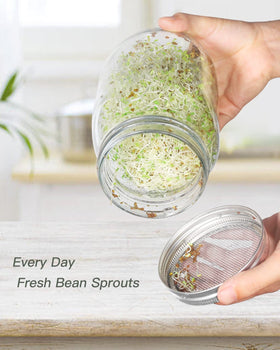 Febflo reusable sprouting lid kit provides reliable sprout setup.