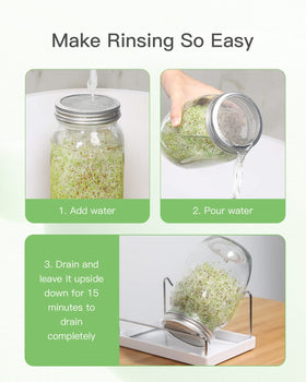 Febflo broccoli sprouts lid mesh filter promotes clean drainage and steady oxygen access.