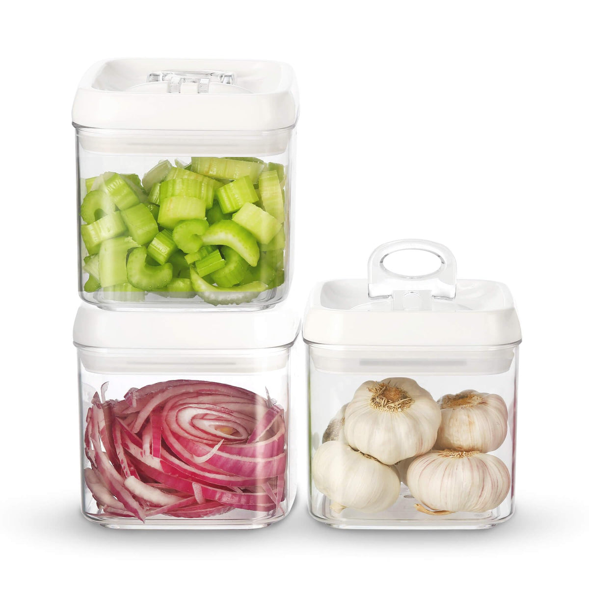 Felli Flip-Tite large container with airtight lid for fresh coffee and snacks.