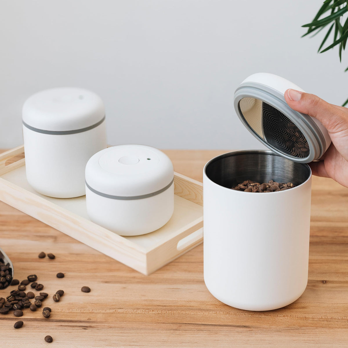 Fellow Atmos silicone ring seal blocks air, moisture, and odors.