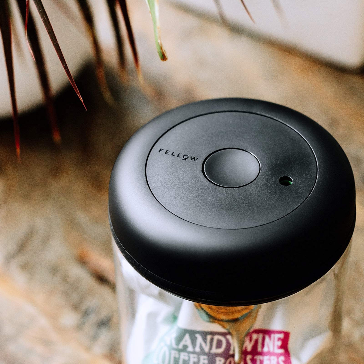 Fellow Atmos keeps coffee beans organized and visible