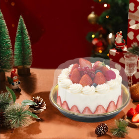 FEOOWV 10inch round board-included cake carrier for presentation