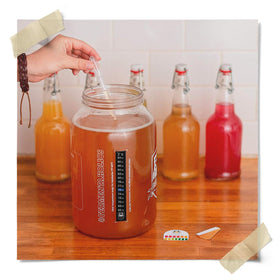 Fermentaholics Kombucha Essentials Kit overview for home brewing.