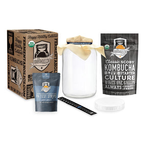 Fermentaholics Kombucha SCOBY ready for your first home fermentation.