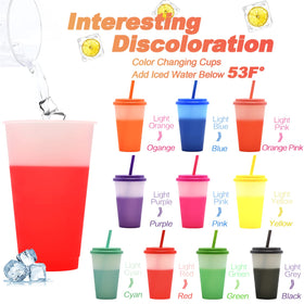 FIEKEICC cups with lids and straws keep beverages contained and mess-free during outings