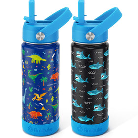 Fimibuke dinosaur bottle front view for school hydration