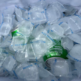 Mesh storage bag included for freezing and transport.