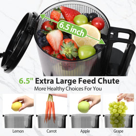 Floisdace 350W motor delivers high juice yield with efficient cold-press operation