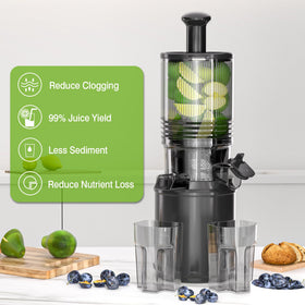 Floisdace 350W motor delivers durable performance on fibrous produce.