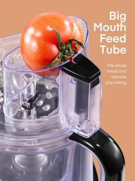 FOHERE reversible disc for grating and slicing vegetables