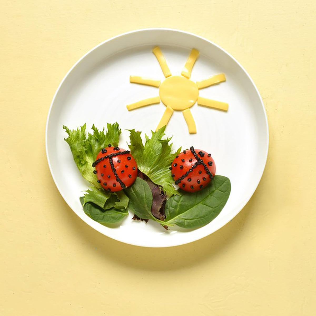 Frcctre travel-friendly plates suitable for trips, picnics, and outdoor events