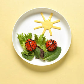 Frcctre travel-friendly plates suitable for trips, picnics, and outdoor events