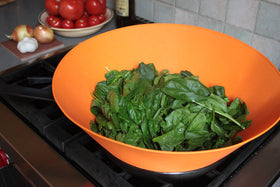 Frywall dishwasher-safe silicone guard for easy cleaning.