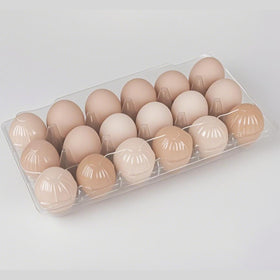 FUailiYY egg carton with 18-cone transparent design for safe transport.