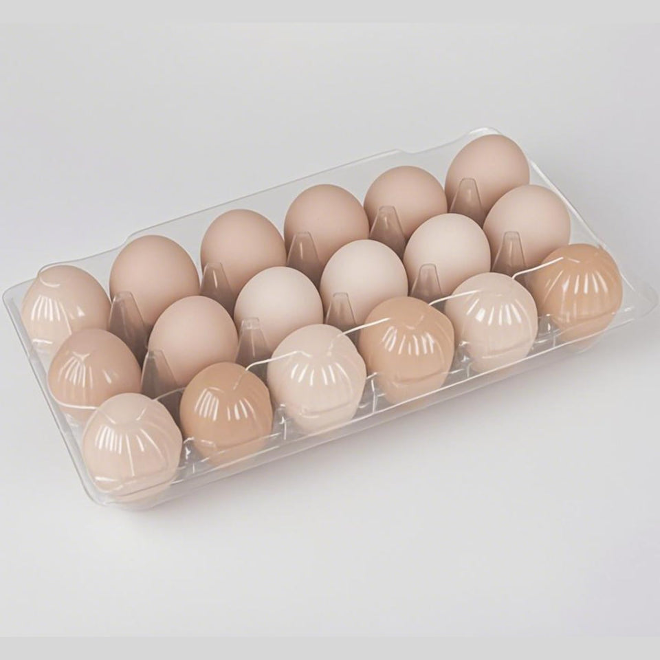 FUailiYY egg carton with 18-cone transparent design for safe transport.