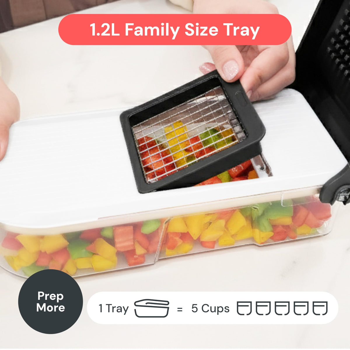 Fullstar durable BPA-free ABS construction for daily use