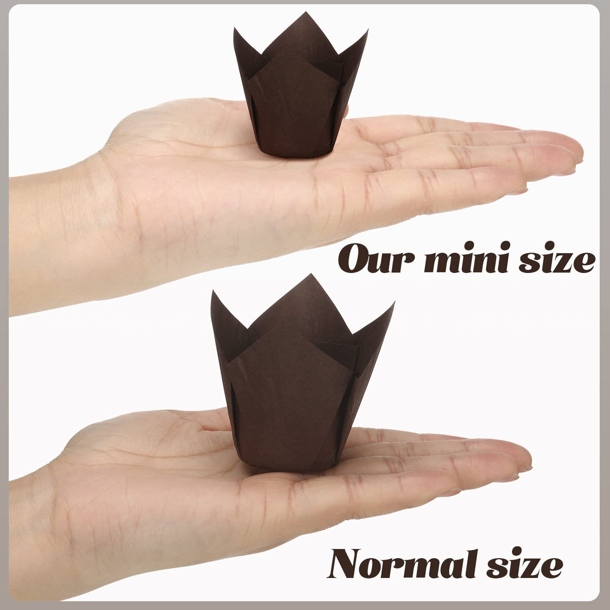 Funtery mini tulip cupcake liner on baking pan, fits standard muffin cups evenly.
