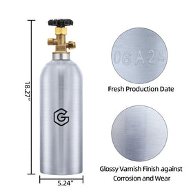 Gancowise DOT-approved empty CO2 tank ready for transport and compliance.