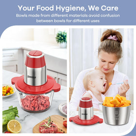 Ganiza food processor bi-level blade sets for varied textures