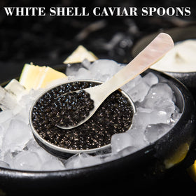 Geiserailie dessert and coffee spoons with pearl finish for stylish serving