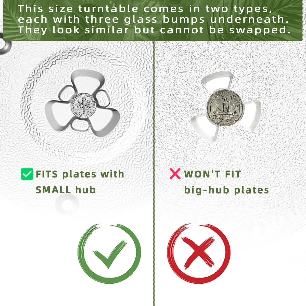 Gemroom borosilicate glass plate demonstrates dishwasher-safe maintenance.