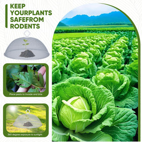 Generic indoor outdoor use suitable for kitchens or camping setups.