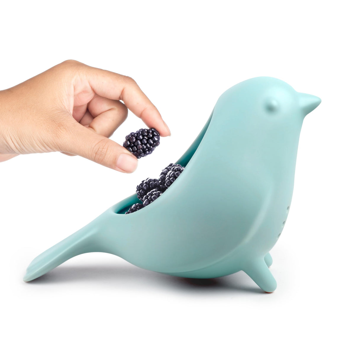 Genuine Fred Blue Bird packaging shows gift-ready box