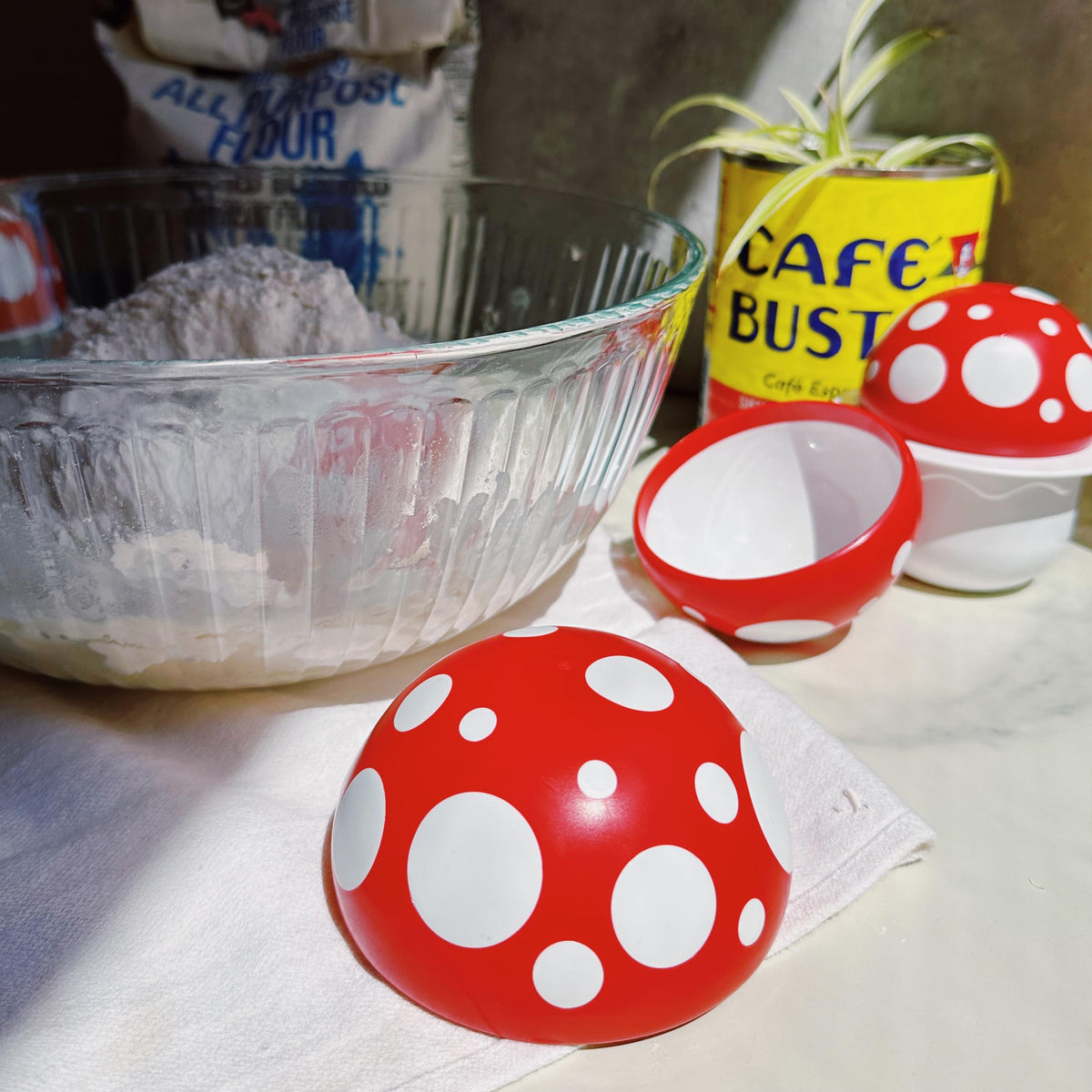 Genuine Fred Mushroom Cups gift box ready for gifting to home cooks