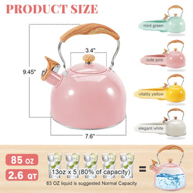 GGC induction-compatible kettle for versatile stovetop use.