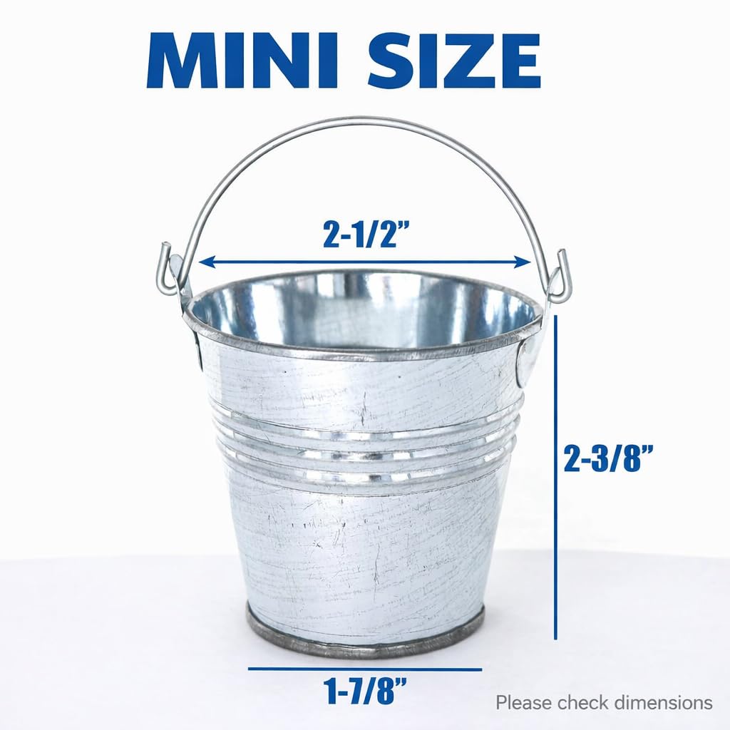 GiftExpress mini bucket succulent planter adds rustic charm to small arrangements.